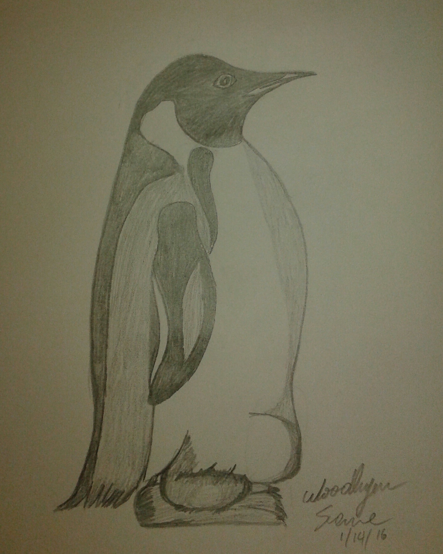 penguin